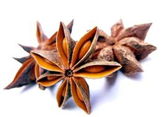 Dantes Fine Foods | Star Anise VS Anise Seeds